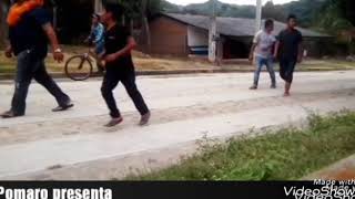 Toros de pomaro presenta Mich. 2018