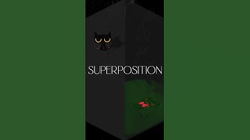 🐈 Schrödinger’s Cat in 30 Seconds | Quantum Chaos Simplified 🎬