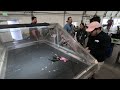 Ditto GX010038