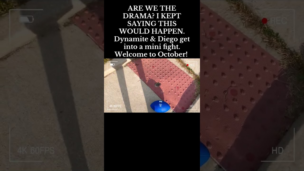 Are We The Drama! iDynvmite Presents: Enter The Dyno Zone @ Your Own Risk! Oct. 1st 2025