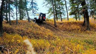 Overland Survival in Late Fall In The North American Boreal Forest | Eating Only What I Could Find