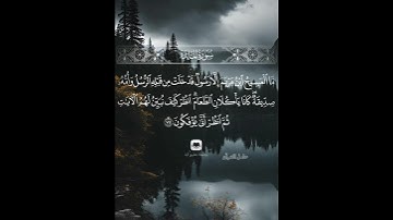 ما المسيح عيسى ابن مريم إلا رسول #سورة_المائدة #ماهر_المعيقلي #حامل_القرآن #إسلاميات #قرآن #تيك_توك