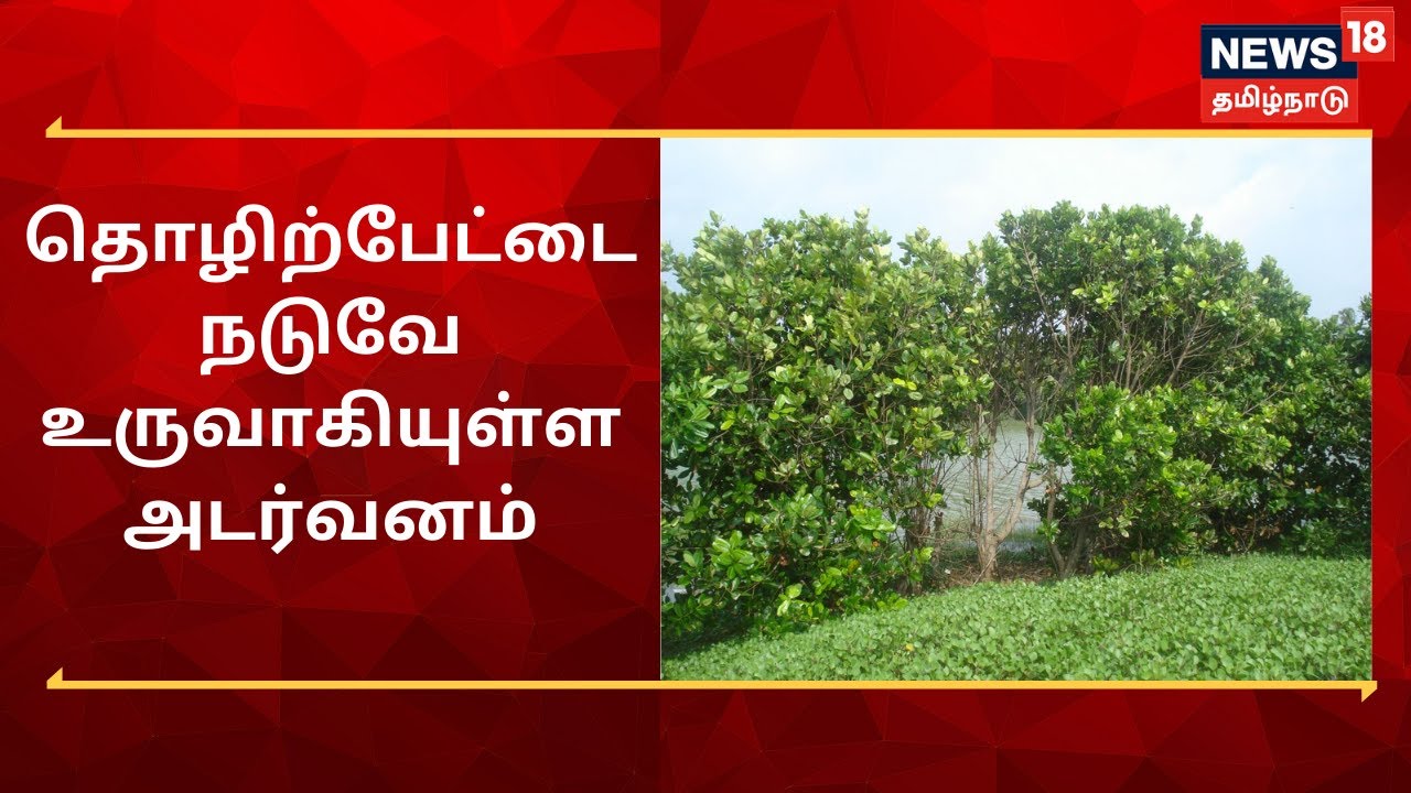 Madurai 40 