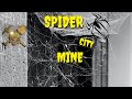 #237 Ainsworth's Spider City Mine!