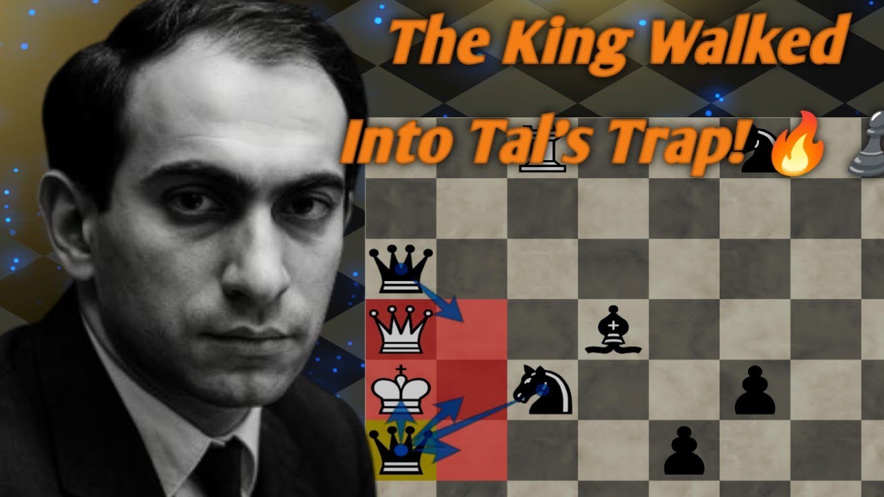 The King in Tal’s Deadly Trap! A Fierce Attack and Brilliant Sacrifice Ending in Unforgettable Mate 