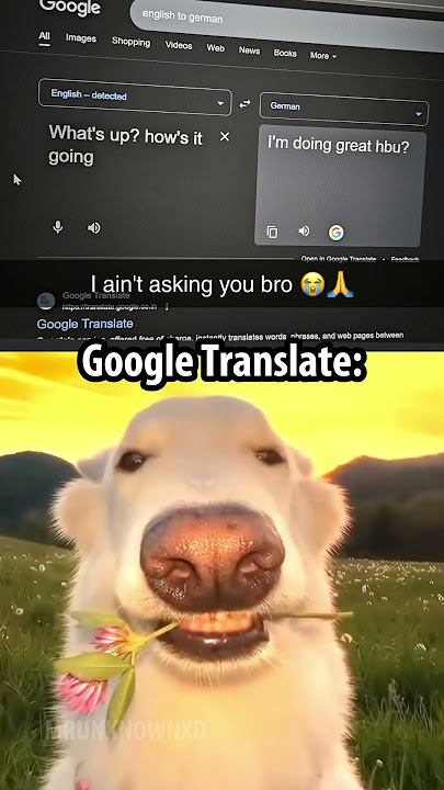 Google translate is too nice 🥰