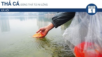 Thả cá, đừng thả túi ni lông | VTC1