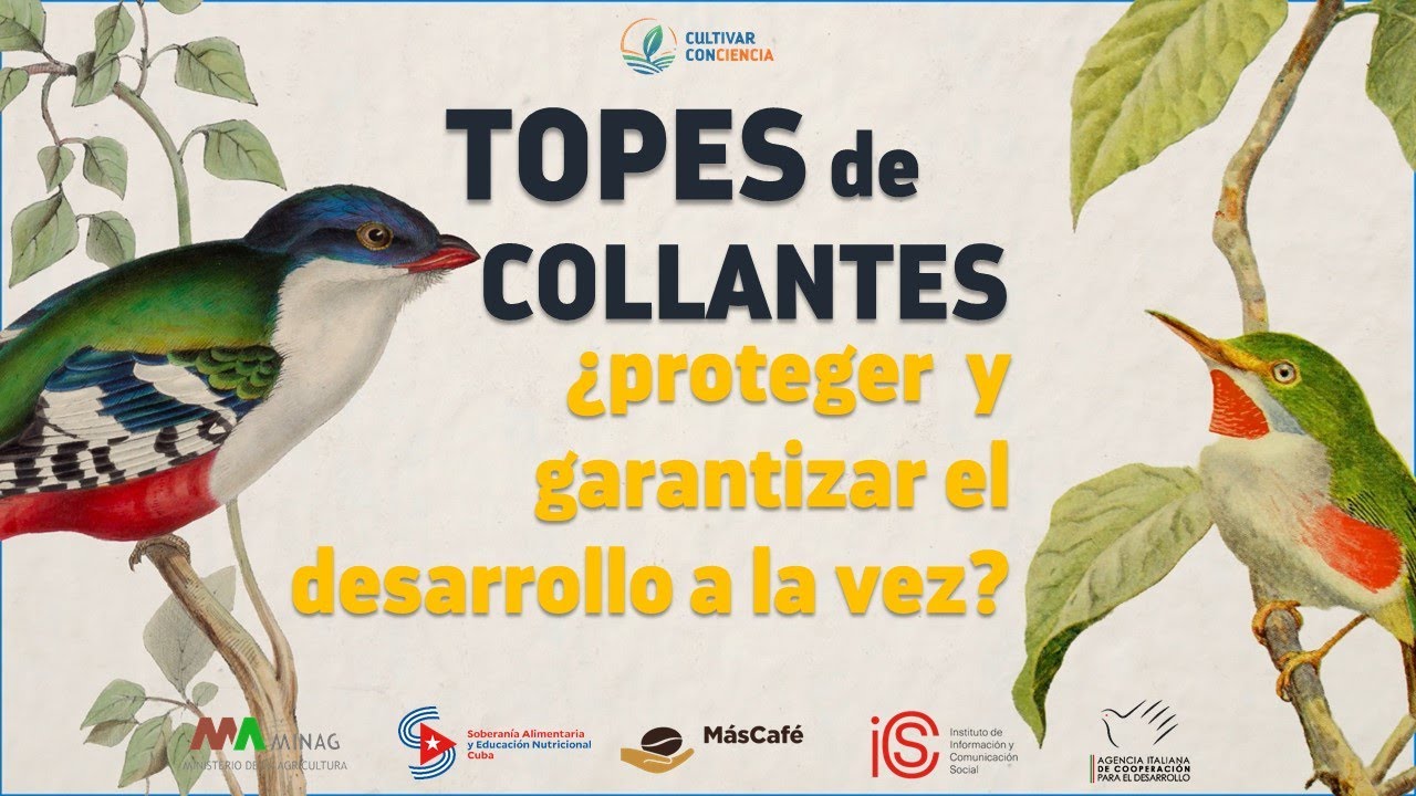 Topes de Collantes: ¿cómo proteger y garantizar el desarrollo en Cuba?