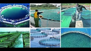 علوم الثانية متوسط درس تاثير الانسان على اعمار الاوساط نشاط 1+2