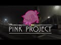 Pink project the band  pink floyd past to present