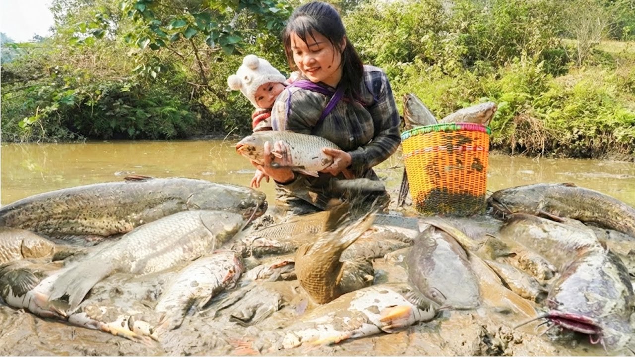 How to catch and harvest giant river fish to sell at the market -Cooking porridge for young children