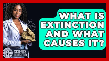 What Is Extinction And What Causes It? - Science Through Time