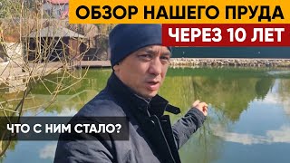 Пруд на участке через 10 лет | Что стало с прудом?