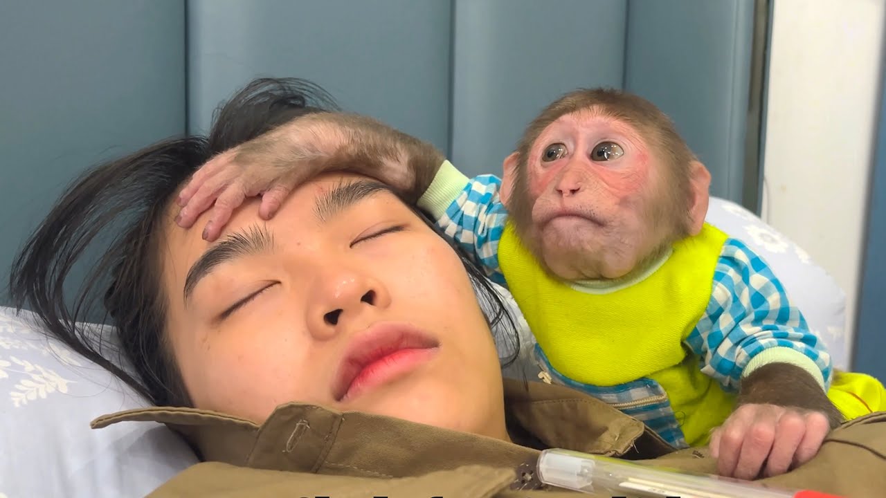 So Touching! CUBIS Stays by Aunt’s Side When She Gets a High Fever