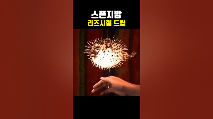 스폰지밥 리즈시절 드립ㅋㅋㅋㅋ