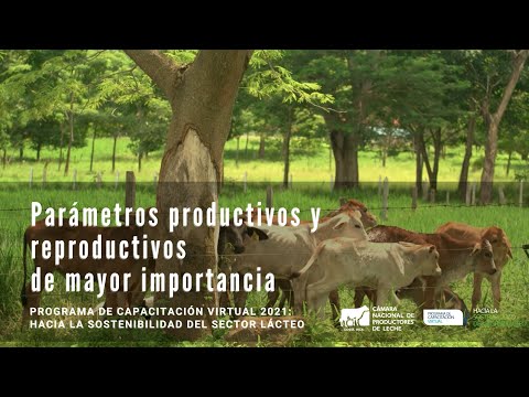 Parámetros productivos y