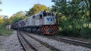 QUADRA LOCOMOTIVAS U20 2516, 2685 LOCOTROL 3871, 2690 COMPOSIÇÃO “J” VAZIO – ABR 2024
