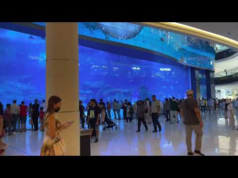 Walking Towards the Underwater Zoo in Dubai Mall