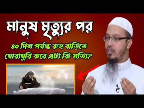 ভিডিও: এটাকে বার্কি বলা হয় কেন?