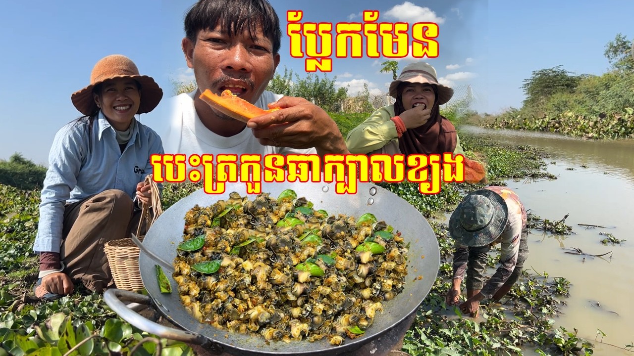 ពូកែឆ្នៃ បេះត្រកួនឆាគ្រឿងក្បាលខ្យង ឆ្ងាញ់ប្លែក