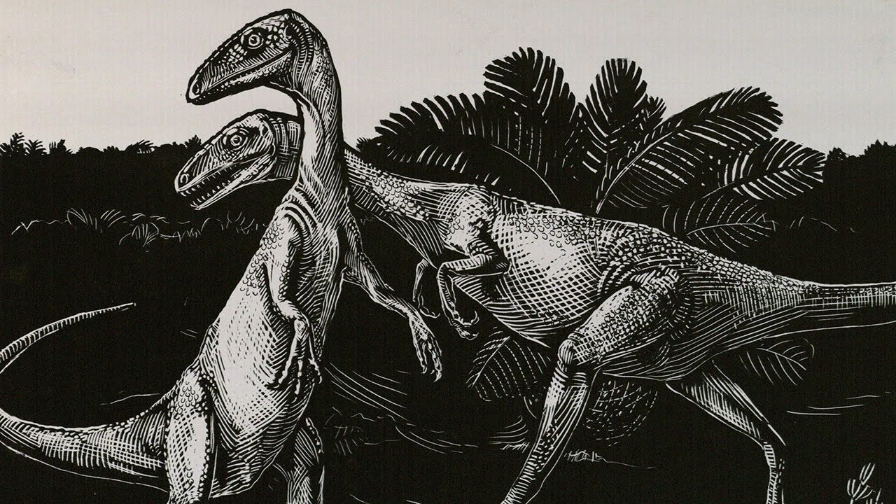 The Dinosaur Ghost Question