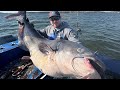 A Day on the Water with Zakk Royce | Giant Catfish on Big Cat Fever Rods
