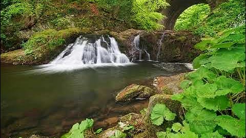 ماتيسر من سورة لقمان بصوت القارئ عيسى الدرويش