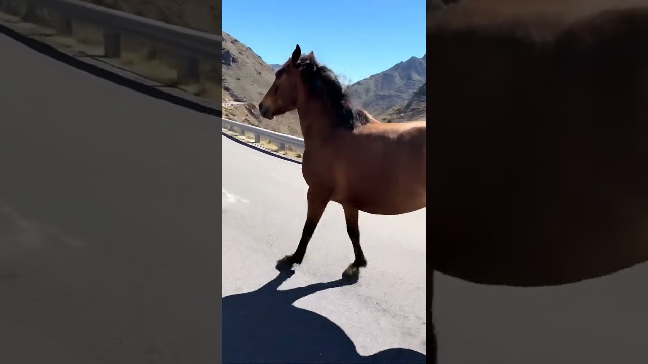 The Power of a Well Timed Strike