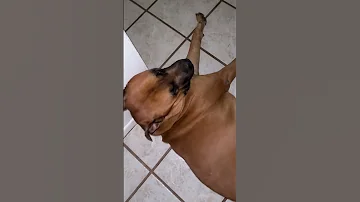 I M Comfy 