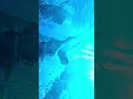 Avatar Visuals ✨️#avatar #avatar2 #visualeffects #visual #trending #trendingshorts #reels #fypシ