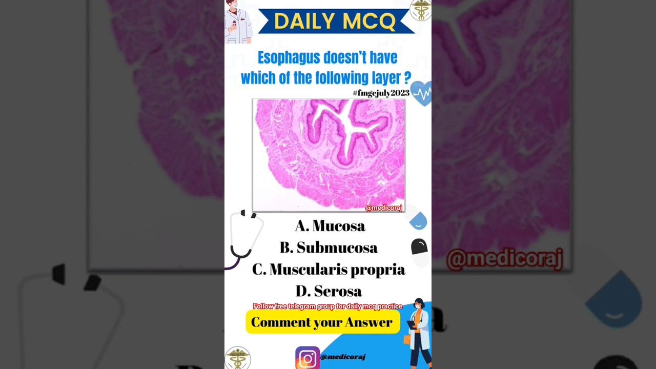 Daily mcq practice for Fmge december 