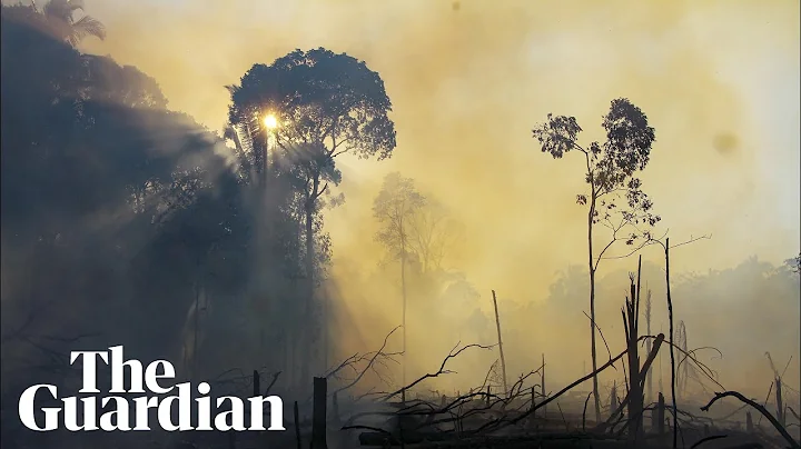 Aerial footage shows fires in Brazil's Amazon
