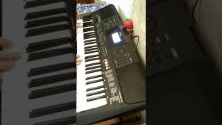 Евгений Осин - "Плачет девочка в автомате" на синтезаторе Yamaha PSR-E463