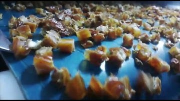 Dried Dates Cube Cutting - Dicer Machine