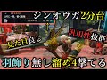 【通常矢100ダメージ超え】羽飾り無しでも溜め４が撃てて、汎用性バツグンで、見た目も良しで、火力も出す強い弓があることを知っているか？【モンハンライズ/MHRise/ちとげちゃん/最強弓装備】