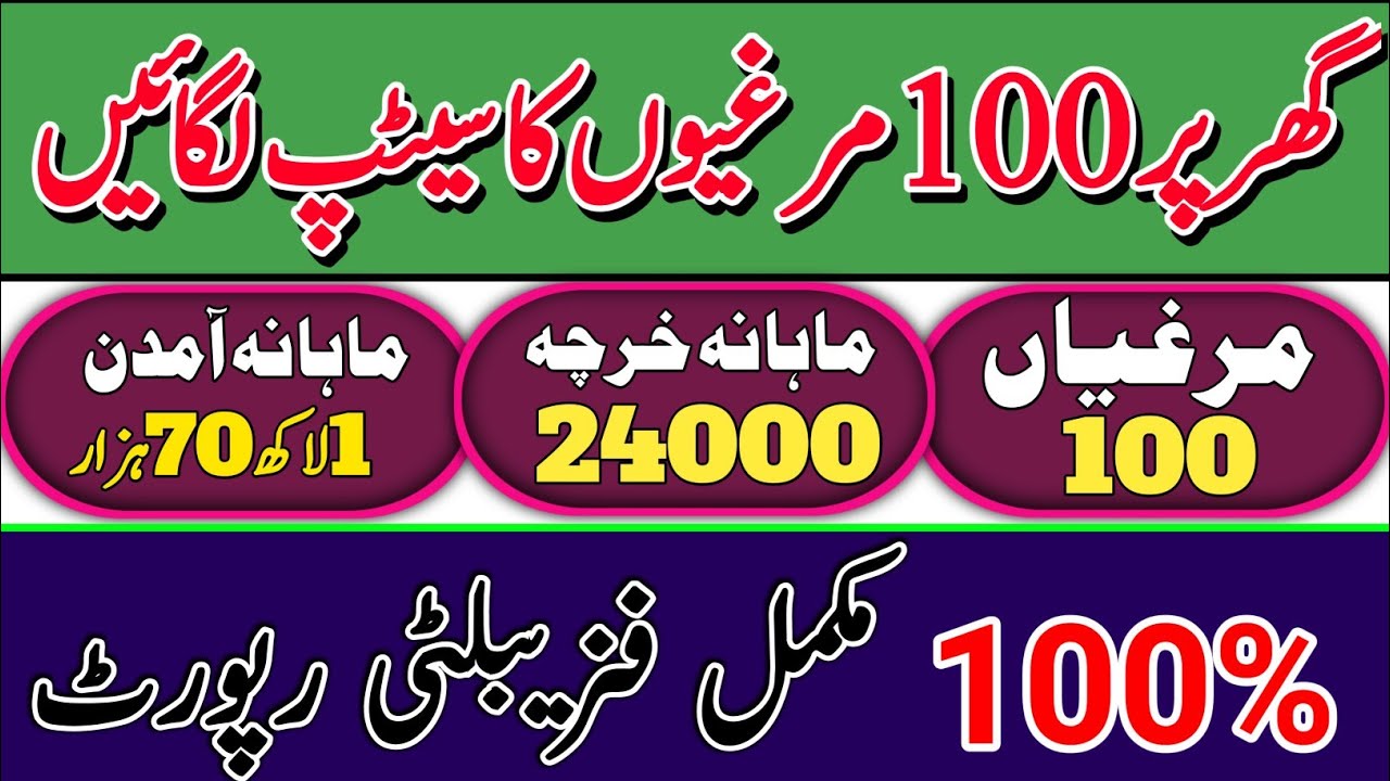 Australorp 100 Hen Feasibility report And For Sale