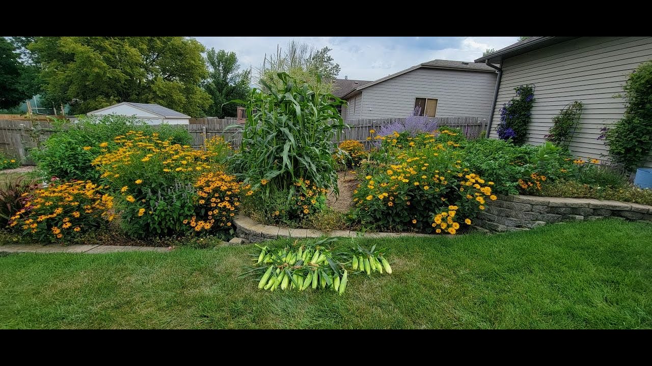 Garden for Soil Health