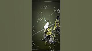 Ad Yang Tau Knpa Erling Haaland Tidak Selebrasi Setelah Mencetak Gol ?