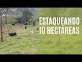 DIVIDÍ 10 HECTÁREAS CON ESTACAS