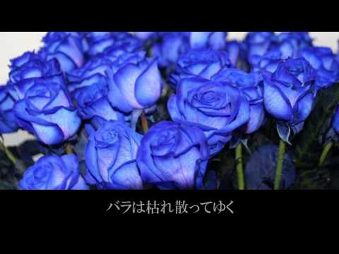 見つめていたい