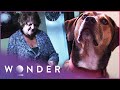 Dog Saves Owner's Life After Sensing Dangerously Low Blood Sugar Levels | Pet Heroes S1 EP5 | Wonder