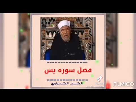 الشعراوي فضل قراءة سورة يس