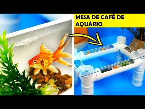 Vídeo: Como Fazer Um Aquário Com As Próprias Mãos