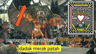 pembarong psht terlalu kuat dadak merak sampai patah Hery swr