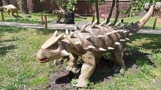 Гидропарк парк динозавров Киев Рекомендую  Выставка динозавров в Киеве