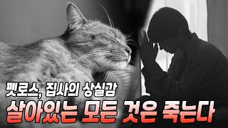 고양이도 언젠가는 죽습니다. 펫로스, 깊은 상실감에 대하여