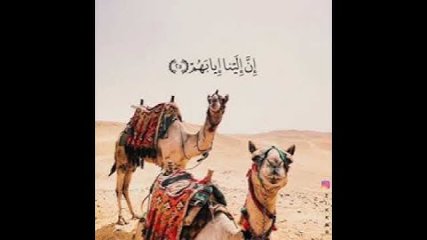 تلاوة خاشعة من الشيخ ياسر الدوسري افلا ينظرون الى الأبلي كيف خلقت