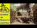 Killerbienen greifen an!