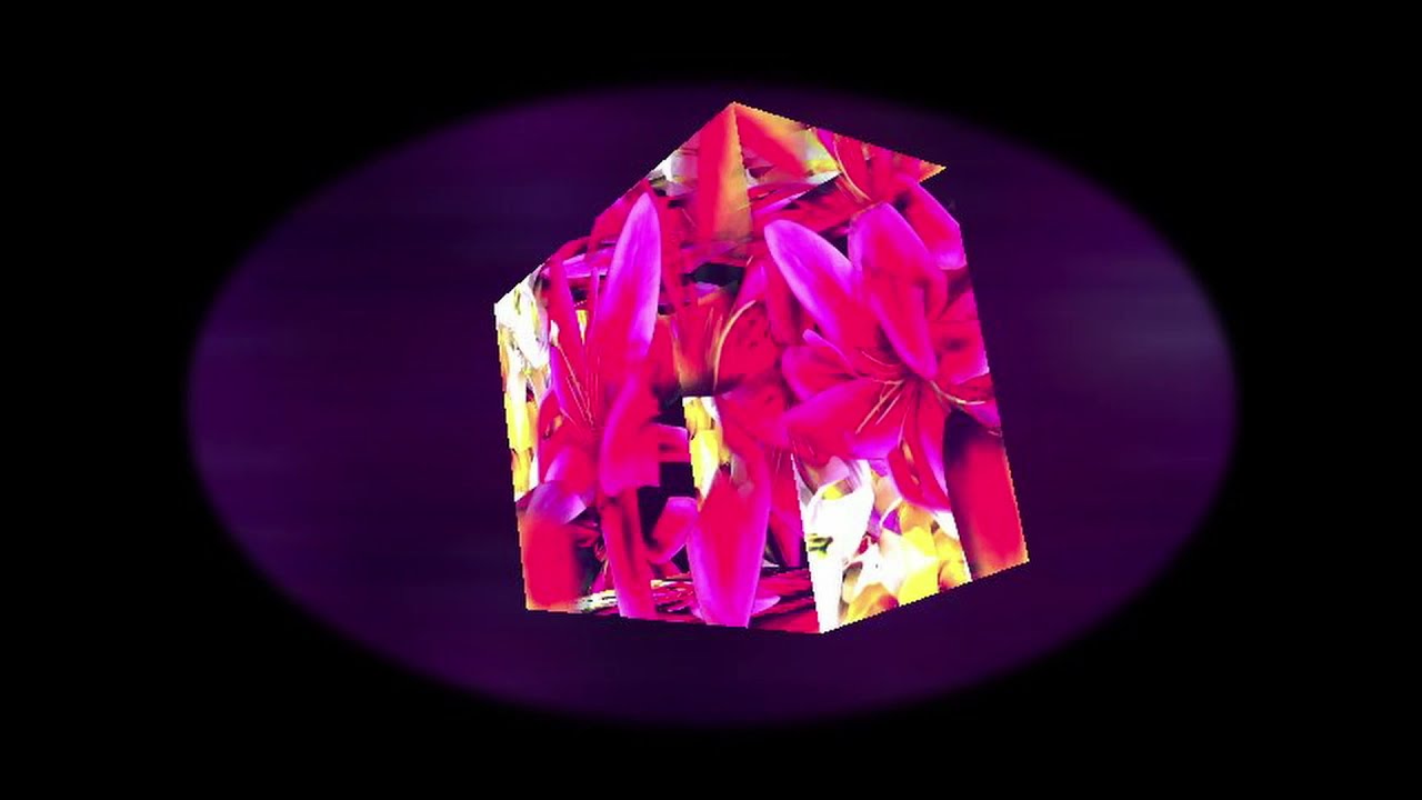 Plastic Flowers 04 First Boy - feat: Abby Powell