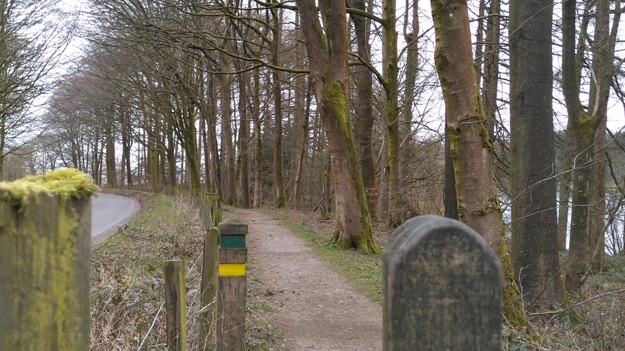 Trentabank Reservoir Heronry Nature Reserve YouTube